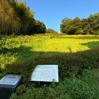 【兵庫県 西脇市】日本のおへそ？日本の標準時・子午線が通る公園！