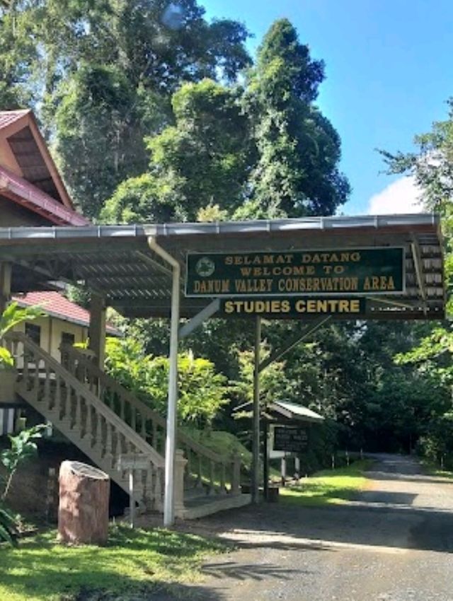 Danum Valley Conservation Area