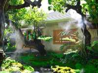 คาเฟ่ในป่าหิมพานต์เชียงใหม่เขียวชะอุ่มสดชื่นมาก