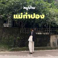 แวะแอ่วถามว่าไข่ป่าวเป๋นจะใด 🤍