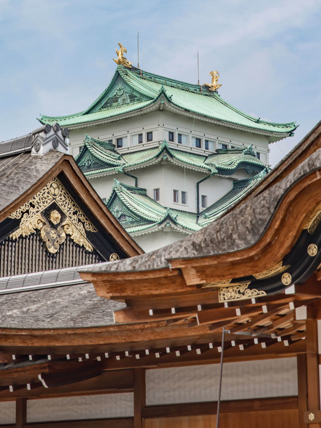 Nagoya Castle แลนด์มาร์คแห่งเมืองนาโกย่า 🏯