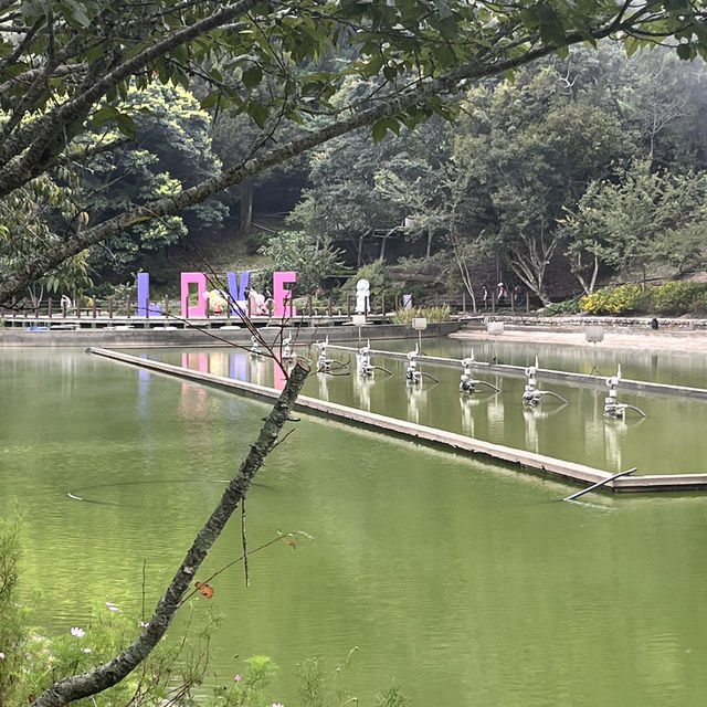 台北台中宜蘭五日之旅