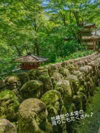 千二百体の羅漢さんに癒やされたい！そんな時は【愛宕念仏寺】