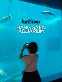 โลกใต้ทะเล Bangsaen aquarium 🐠