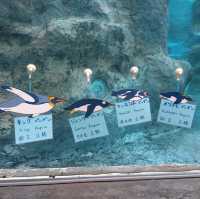 旭川景點｜日本最北、高人氣寒帶動物園—旭川動物園