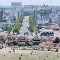 【日本美食文化】星鰻料理、咖啡與姬路城，一場令人難忘的旅程🌸