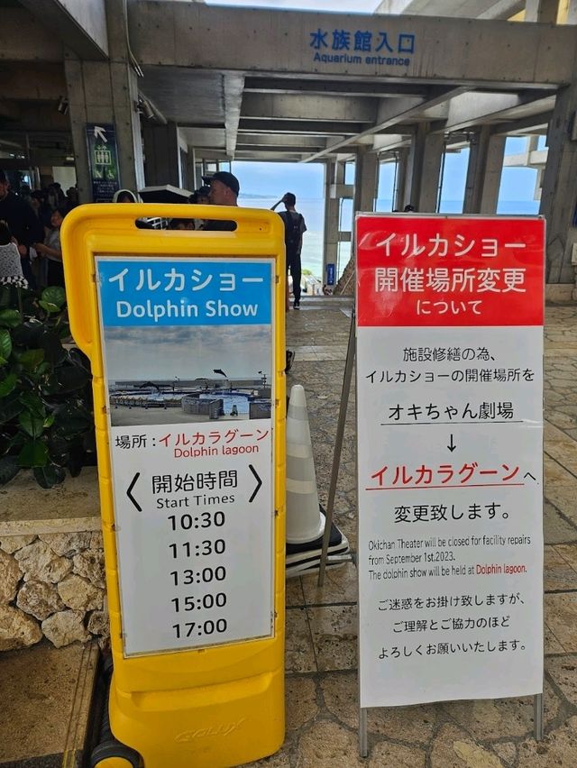 🛖일본 오키나와, 추라우미 수족관