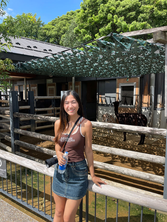東京 | 漫遊東京市內動物園 適合⼀家大細嘅行程🐼