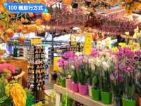 荷蘭阿姆斯特丹-辛格運河上的水上花市：Bloemen Market