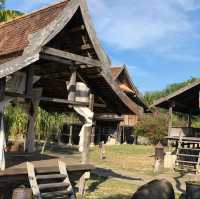 Hidden Paradise: Discover Authentic Tranquility at Terrapuri Resort