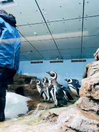 桃園青埔Xpark 水族館🐠台灣首座新都會型水生公園