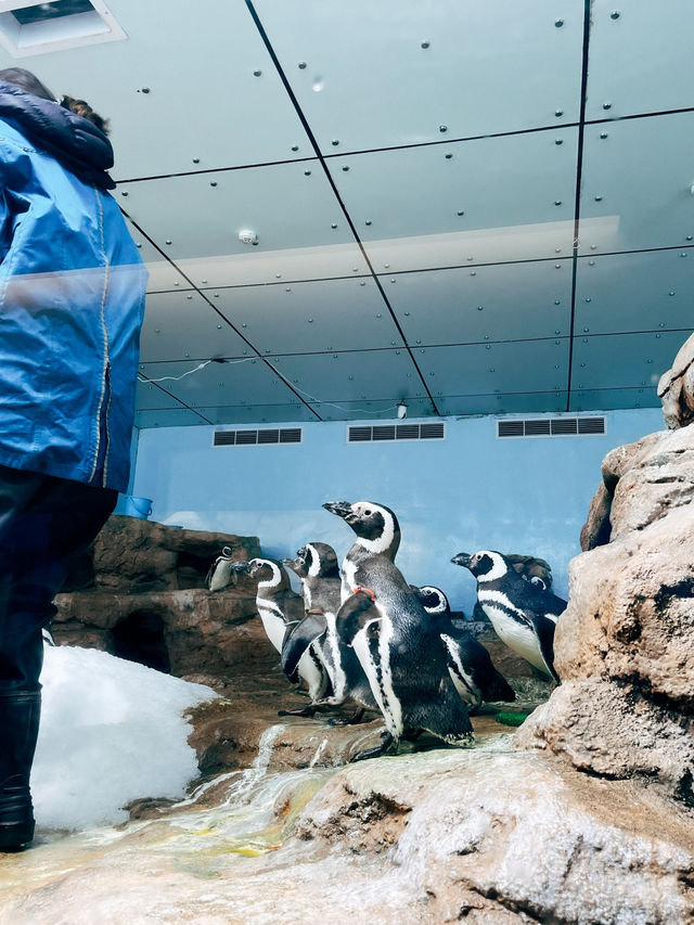桃園青埔Xpark 水族館🐠台灣首座新都會型水生公園