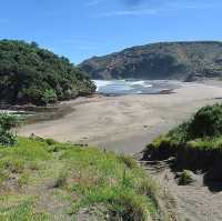 Auckland’s West Coast Beaches: Piha and Muriwai