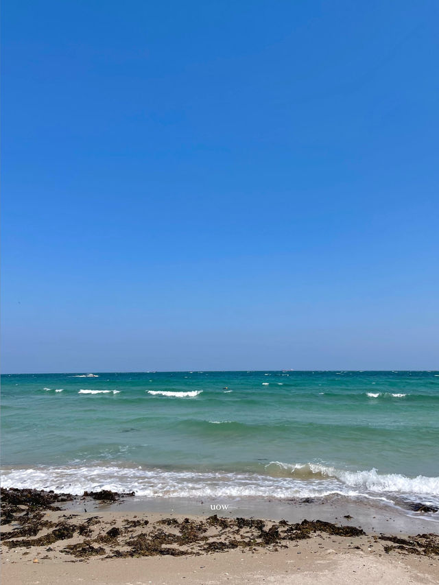 가슴이 뻥 뚫는 포항바다를 소개합니다🌊