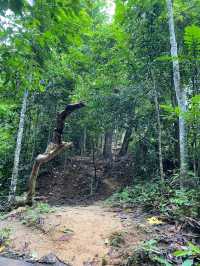 Cherok Tokun Nature Park (National Forest)
