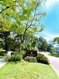 Peaceful Greenery Escape at Fort Canning Park