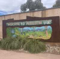 Werribee Zooで体感！サバンナ大冒険のサファリツアー