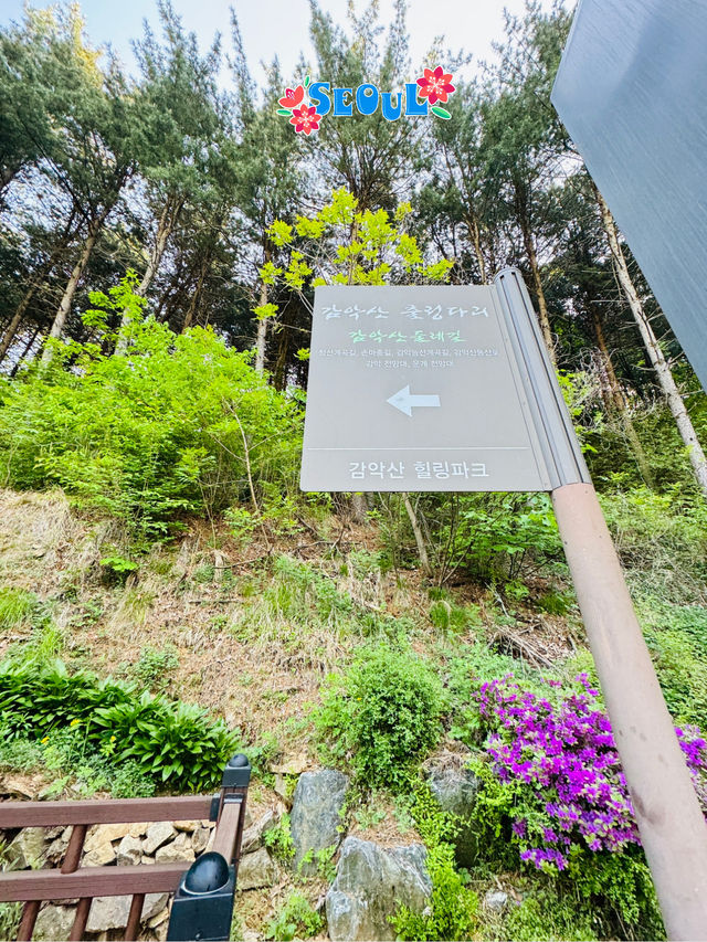 🇰🇷 Gamaksan Entrance is a photo spot 