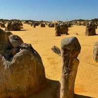 Nature's Artistry: The Breathtaking Pinnacles Desert