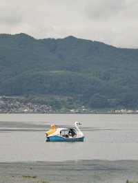 [長野] 諏訪湖上踩著可愛鴨子船
