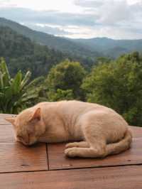 พูลวิลล่ากลางหุบเขาสุดหรู Phudin in Mork