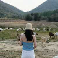 Hua Hin - Pranburi Guide
