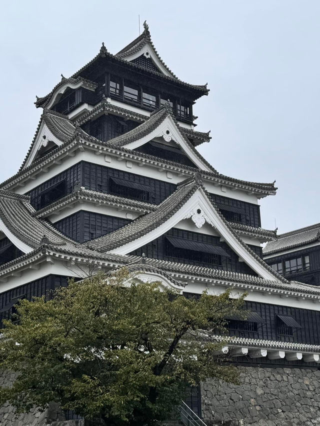 熊本自遊行😬必到行程之選😍熊本城🫡