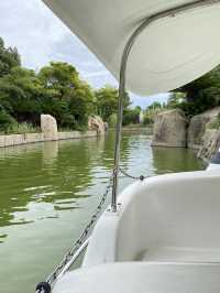 【淡路島】足漕ぎスワンボート