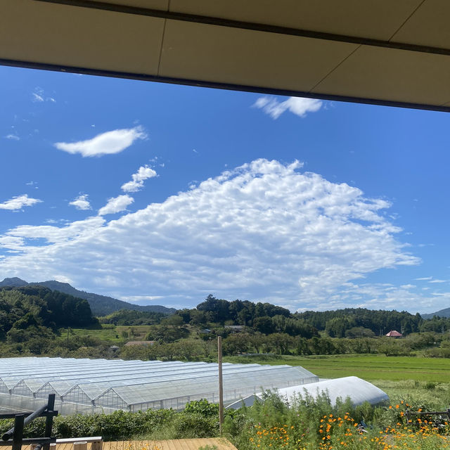 【千葉•鴨川　みんなみの里】　地元野菜🫚⭐︎