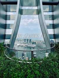 City view : Sky Garden at CapitaSpring 