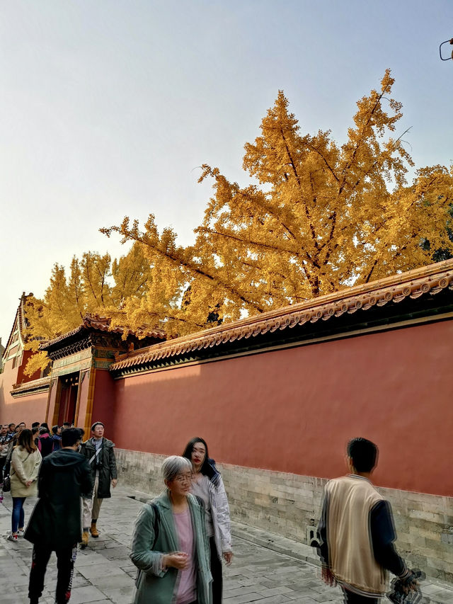 Autumn in the Forbidden City: A Journey Through History and Beauty 