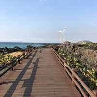 Cactus and Coast: Scenic Walks at Wollyeong-ri 🇰🇷