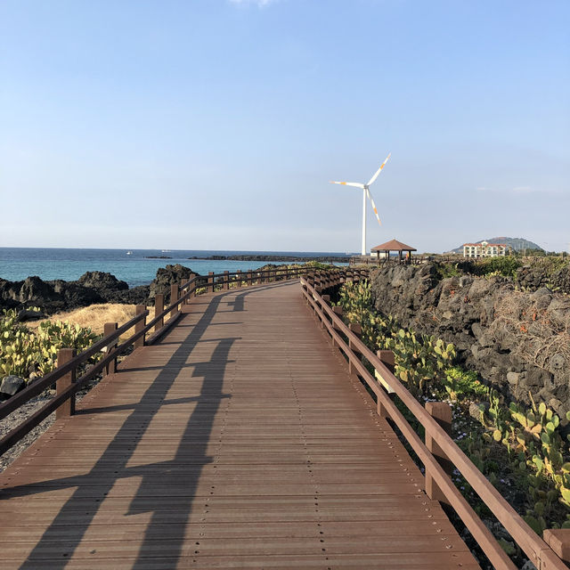 Cactus and Coast: Scenic Walks at Wollyeong-ri 🇰🇷