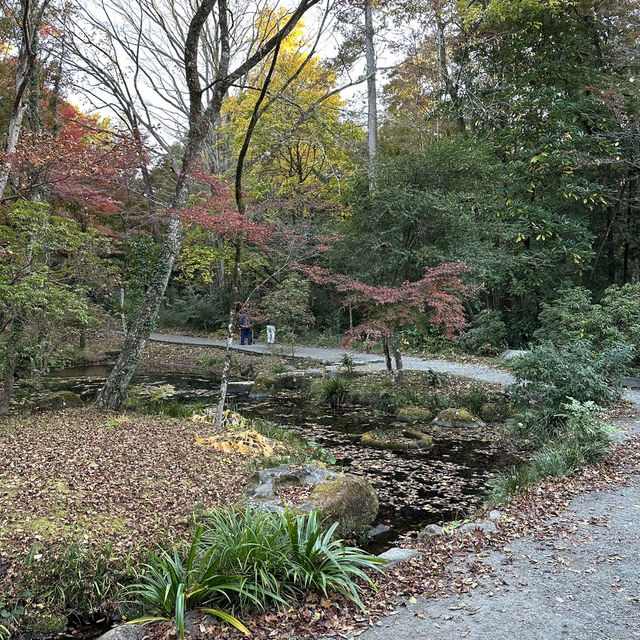 【静岡/御殿場】絶対行きたい和カフェ！とらや工房