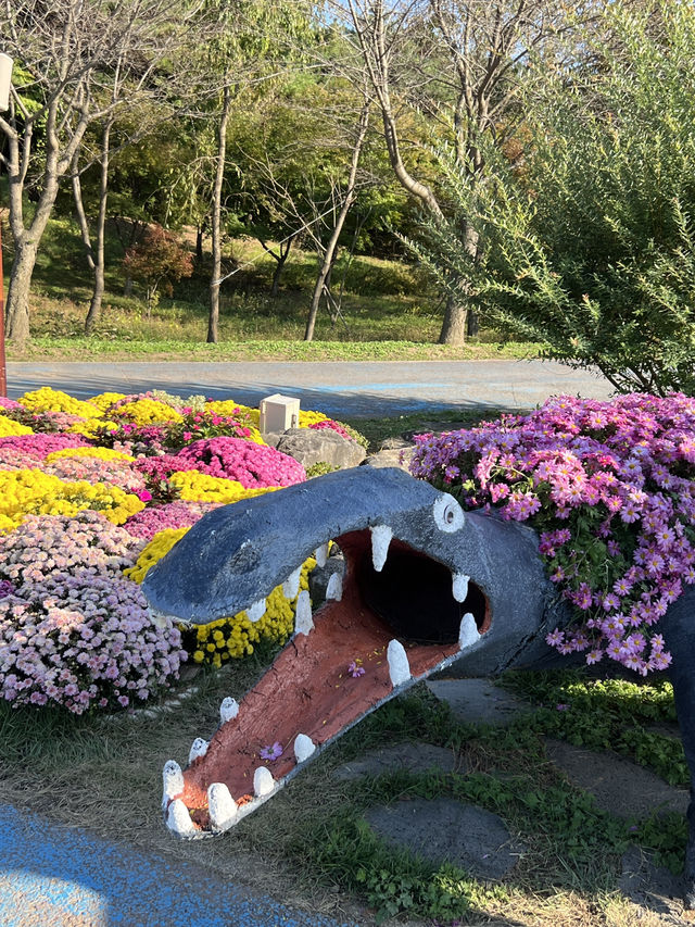 인천 드림파크 야생화단지 가을꽃축제