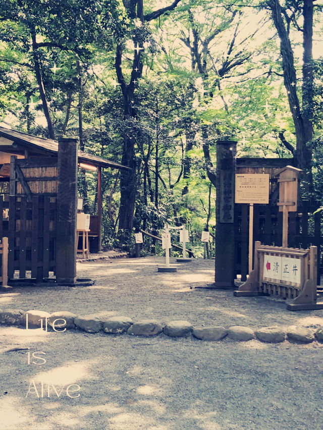 ～代々木めいじじんぐう明治神宮～