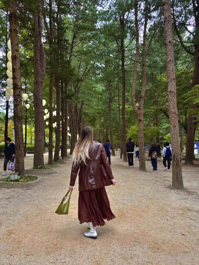 Day Trip to Nami Island and Camping!