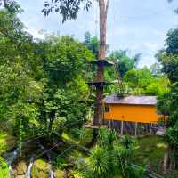 กิจกรรมสุดอลังการ เดอะจังเกิ้ล โป่งแยง (The Jungle