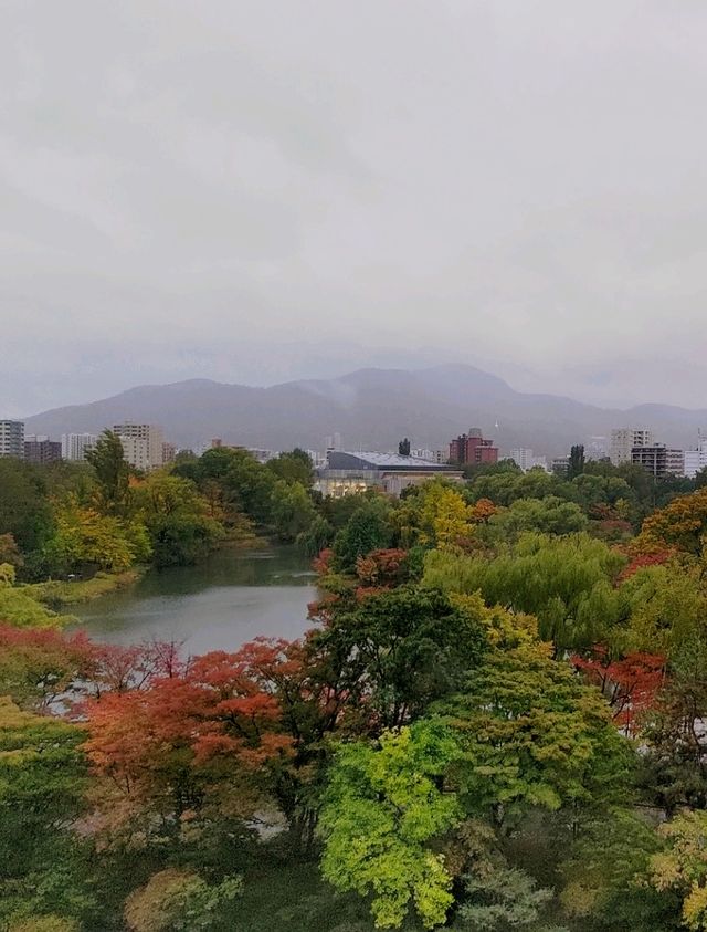 景觀超讚~北海道札幌公園酒店