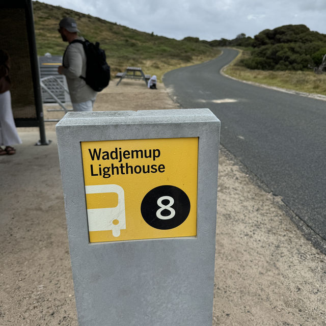 Wadjemup Lighthouse：羅特尼斯島的燈塔奇觀 🌅🏮