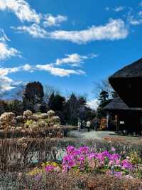 【秋の山梨1泊2日旅】 リフレが素晴らしいおすすめスポット！