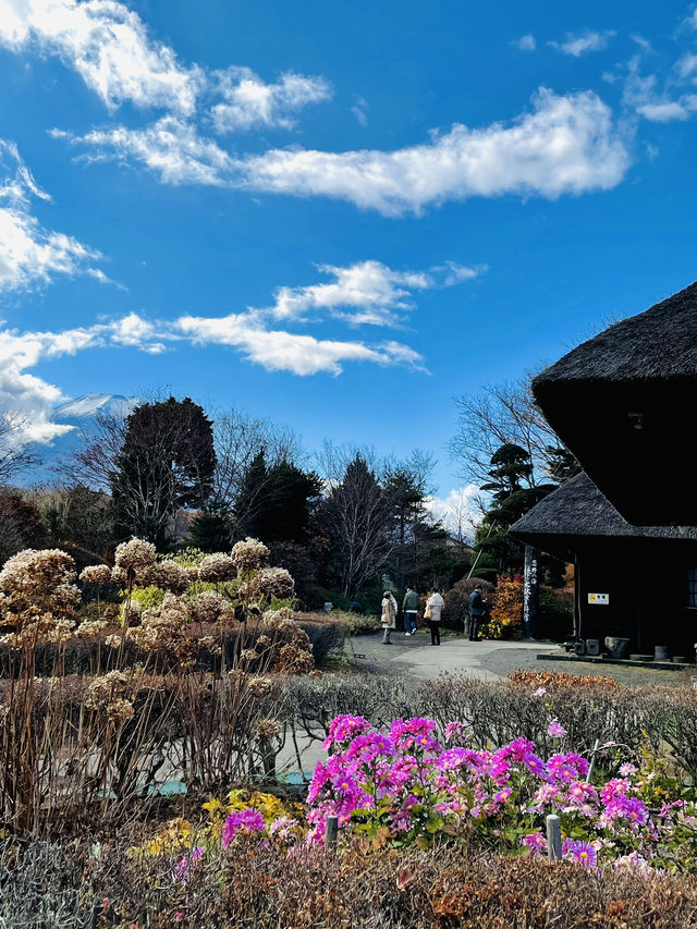 【秋の山梨1泊2日旅】 リフレが素晴らしいおすすめスポット！