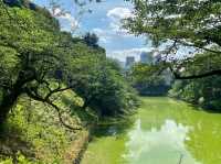 北の丸公園：自然與歷史交融的東京綠洲🌳