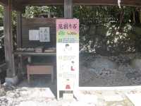 お皿を投げて厄を払う？！ご利益ありまくりな📍鎌倉宮