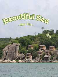 พาไปชมบรรยากาศ…เกาะเต่า🏖️🐢