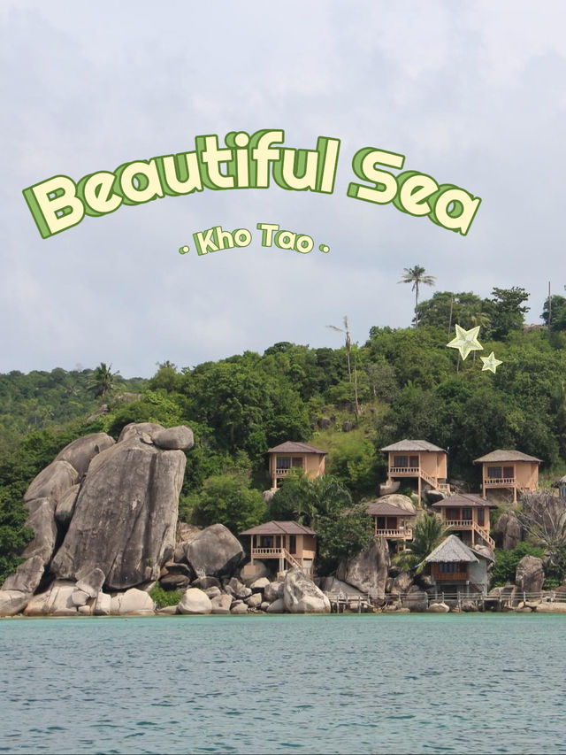 พาไปชมบรรยากาศ…เกาะเต่า🏖️🐢