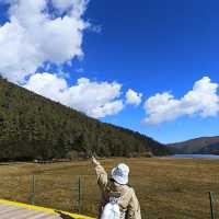 香格里拉普達措國家公園