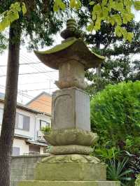 【埼玉県】山門両脇の銀杏が印象的