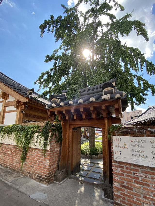 韓國大邱🇰🇷一日遊✨