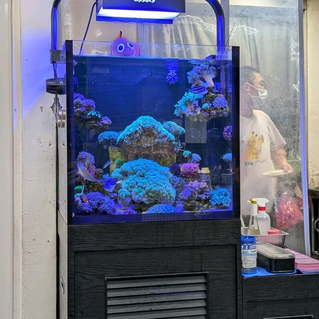 台北信義「林家藥燉原汁牛肉麵」必比登牛肉麵的發源地！